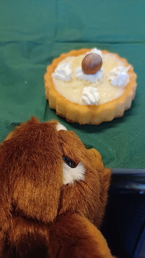 Schwarzw&auml;&oumllder Nusstorte